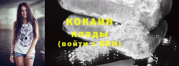 ECSTASY Бородино