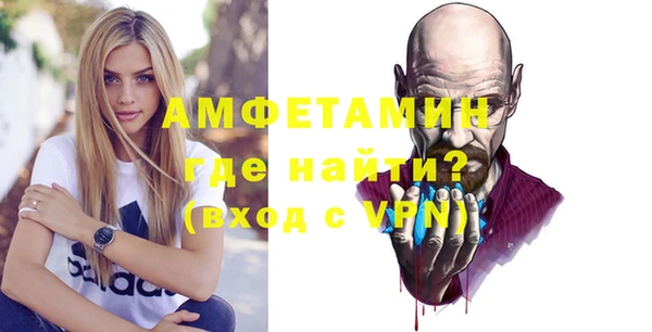 ECSTASY Бородино