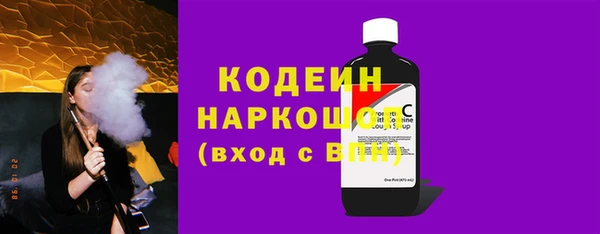 ECSTASY Бородино