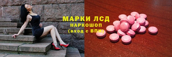 ECSTASY Бородино