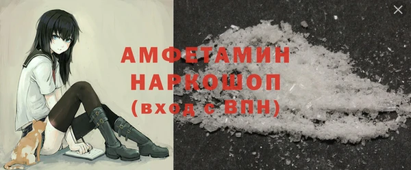 ECSTASY Бородино