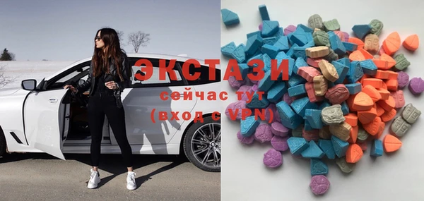 ECSTASY Бородино